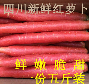 四川胡萝卜新鲜包邮 沙地水果红萝卜农家蔬菜红心脆甜沙窝 甜萝卜