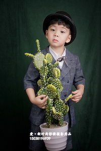 新款摄影拍照道具仿真扁片仙人掌植物盆栽仙人球清新装饰绿植摆件