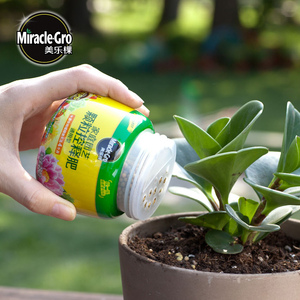 美乐棵园艺盆栽颗粒控释肥料植物通用缓释营养肥花肥肥料包邮250g