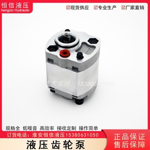 液压齿轮泵油泵液举升机CBK-F系列小型高压油泵大全泵头可定制