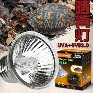 RS全光谱太阳灯微型UVA+UVB3.0乌龟晒背灯水龟饲养箱加热补吸收钙