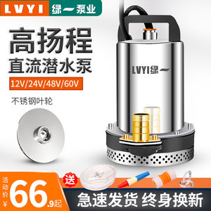 绿一农用48V直流潜水泵12V48V60V高扬程电动车家用抽水泵 水泵