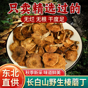 北域珍奇东北野生榛蘑菇榛蘑丁干货野山菌小鸡炖蘑菇新鲜礼盒200g