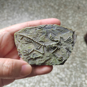 匹诺考古古生物化石挖掘玩具手工diy菊石三叶虫恐龙蛋模型标本