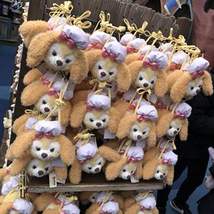 日本 Disney 迪斯尼 达菲熊 新朋友 Cookie 卡通  斜挎包 卡套