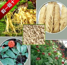 人参种子价格