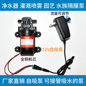 直流微型水泵 12v自吸泵隔膜高压洗车增压专用220V抽小水泵自吸式