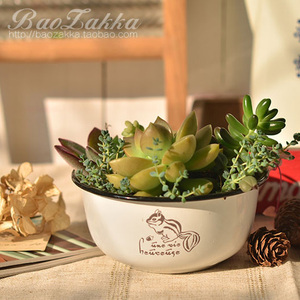 BAO ZAKKA 杂货出口尾单 松鼠搪瓷碗形花器小碗花盆 创意复古园艺