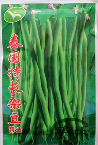 泰国特长架豆芸豆种子种籽高产豆角无丝豆抗病孑亩产蔬菜6000公斤