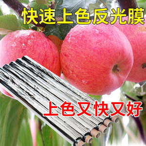 农用果树反光膜苹果地葡萄专用水果增色双面大棚温室增温果园地膜