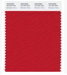 正品现货PANTONE潘通色卡美国原装TCX(10*20)棉布色卡单张2310色