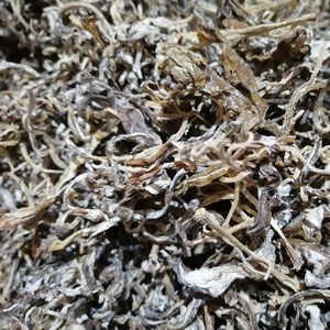 大凉山会东正宗淌塘老鹰茶红茶250g