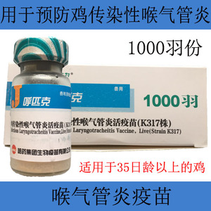 口蹄疫疫苗:守护畜牧业健康的盾牌
