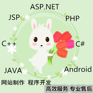 Java安卓app设计C语言C++编程算法python网站php代码