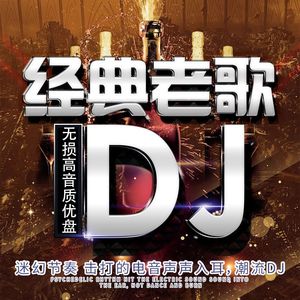 车载音乐U盘经典老歌DJ怀旧国语重低音舞曲高质汽车用优盘内存卡