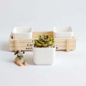 新品素花盆白色方盆小多肉花卉盆栽创意简约带木托木盒陶瓷小花盆