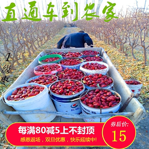 骏枣一级新疆和田特产香酥脆大水果19年新货袋散装5斤干鲜红枣子