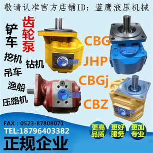CBG2063 2080 2100 2040 2050高液压齿轮泵CMG CBZ JHP CBGj b1r