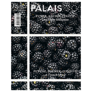 【订阅】 Palais 艺术杂志 法国英文/法语原版 年订3期 A168
