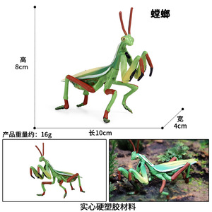 儿童认知仿真动物昆虫模型静态实心塑胶玩具螳螂蚱蜢装饰摆件手