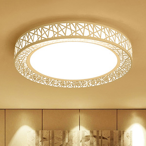 LED吸顶灯鸟巢圆形客厅主卧室餐厅灯铁艺现代简约温馨灯具饰