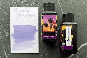 Diamine 戴阿米 马来西亚商店限定墨水 紫色暮霭辉煌条纹山竹咖啡