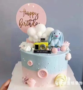 蛋糕装饰坐姿小兔子摆件迷你彩色照相机可爱卡通蛋糕派对装饰摆件