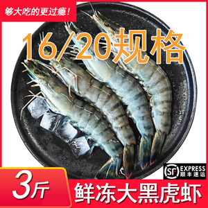 黑虎虾16/20大虾新鲜速冻海鲜老虎虾大竹斑节虾冷冻活虾急冻海虾