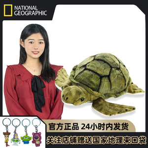 国家地理毛绒玩具仿真海龟玩偶乌龟小公仔娃娃海洋野生动物园礼物