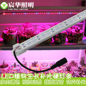 LED植物生长多肉补光灯红蓝光上色温室蔬菜瓜果LED硬灯条低压12V