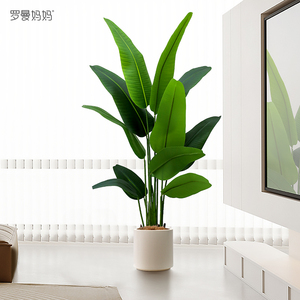 仿真绿植天堂鸟旅人蕉家居客厅室内盆栽高端轻奢假植物装饰摆件