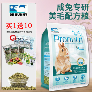 包邮DRBunny兔博士成年兔粮美毛配方900g兔子膨化饲料主食买1送10