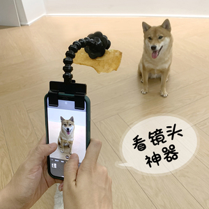 猫狗自拍杆宠物自拍器拍照片神器诱导看镜头食物夹手机支架玩具