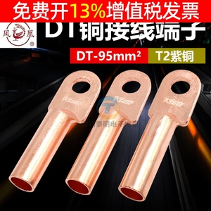 正品凤凰国标铜鼻子DT-95MM平方铜接线端子铜接头电缆紫铜B级压头