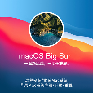 苹果mac电脑OS 11.0 Big Sur远程制作安装U盘降级/升级/重装系统