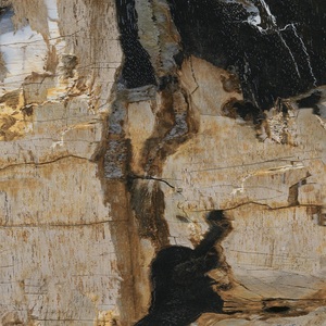 居然之家诺贝尔木化石系列松风山月瓷砖XY618012