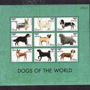 清仓特价 不丹1999中国生肖狗动物名犬宠物狗萨莫耶邮票MS全新