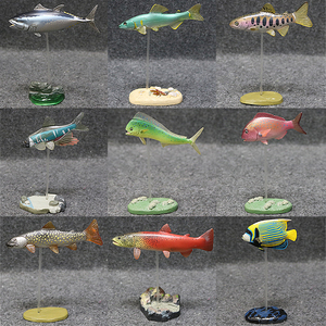 2散货Colorata出品立体図鑑仿真动物模型皇带鱼深海鱼系列后
