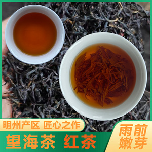望海茶雨前红茶100克正山小种浓香型养胃明前特级红茶叶奶茶散装