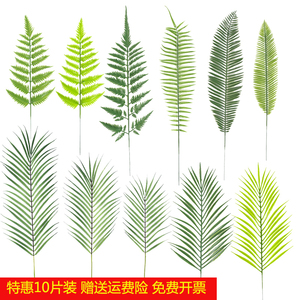 仿真单片波斯叶铁树叶散尾葵假塑胶叶墙壁装饰婚庆布置植物绿叶子
