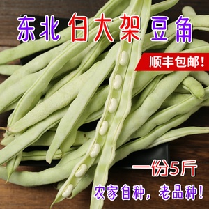 东北农家白大架白豆角白架豆白不老扁豆芸豆现摘新鲜蔬菜5斤包邮