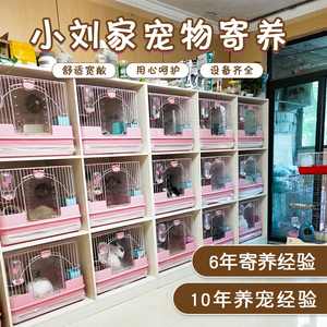 上海宠物寄养 上海家庭寄养/上海兔子寄养/上海龙猫寄养/可接送