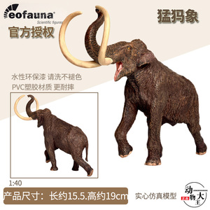 包邮西班牙Eofauna猛犸象黄河象亚洲古生物玩具模型 1/40 现货