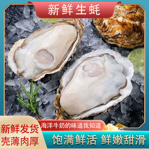 【10斤】新鲜生蚝鲜活特大牡蛎肉肥海蛎子鲜贝类刺身海鲜水产包邮