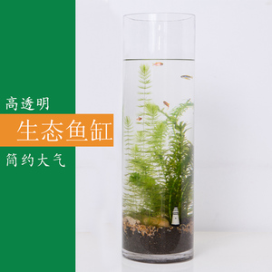生态鱼缸圆柱体鱼缸玻璃鱼缸透明花瓶