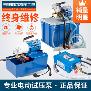 DSY-12 25手提式小型电动试压泵地暖水管试压机管道打压泵打压机
