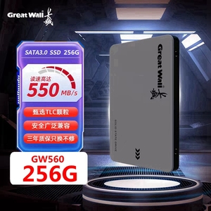 Great  Wall/长城GW560全新256G512G1T固态硬盘2.5寸SSD硬盘