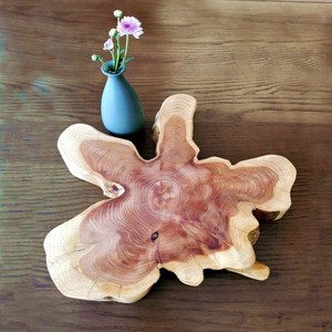 实木造型茶道杯垫原木文艺茶承天然砧板美食摄影道具餐木头木板