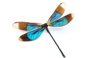 稀有蟌类标本豆娘蜻蜓蝴蝶昆虫甲虫标本个性饰品配件胸针耳环