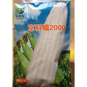 北京华奥农科玉 京科糯2000 玉米种子 白糯玉米 香甜可口糯玉米籽